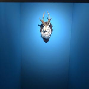 Christmas-Mistletoe（マグロ鱼酱 remix）