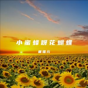 小蜜蜂呀花蝴蝶 伴奏
