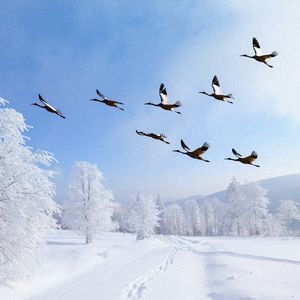 哪怕是为我留下