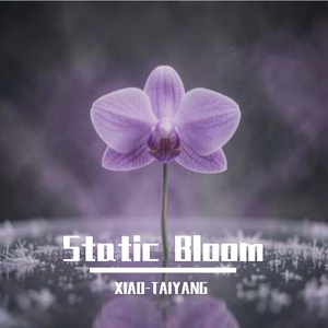Static Bloom