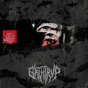 BulletHoles
