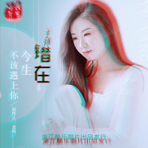 错在今生不该遇上你 (Dj加速版)