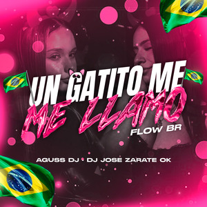Un Gatito Me Llamó FLOW BR (Extended)