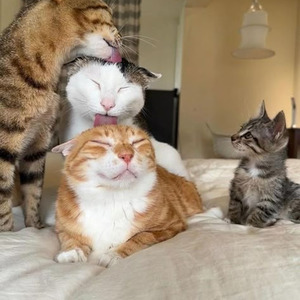 All Good Things (sped up)