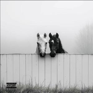 YIN YANG (feat. Morenax & Elgy)