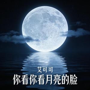 你看你看月亮的脸（伴奏）