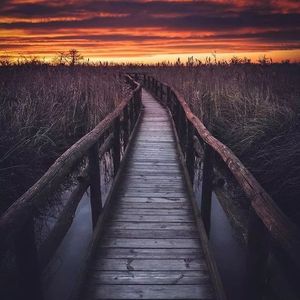 你8-成品