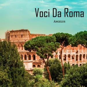 Speculum Plena Pediseus V