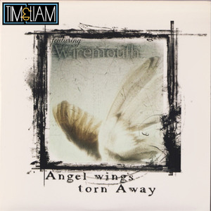 Angel Wings Torn Away
