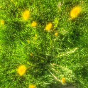 9am6master-nuclear（skeleton remix）