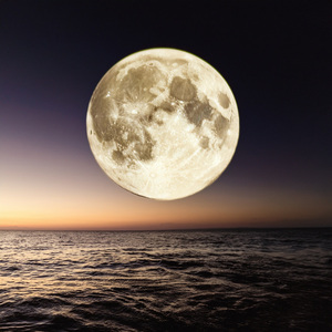 Ritmos Apacibles Que Asientan La Tarde