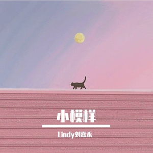 小模样