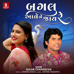 Bagalu Aave Ne Jay Re