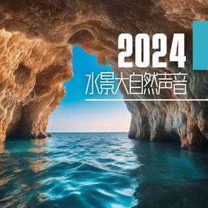 在森林内的河流