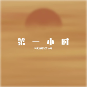 干净-罗曼蒂克的爱情 (DJ版)（每天拉够12个小时 remix）