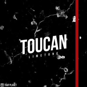 Toucan (Original Mix)