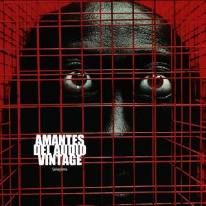 AMANTES DEL AUDIO VINTAGE