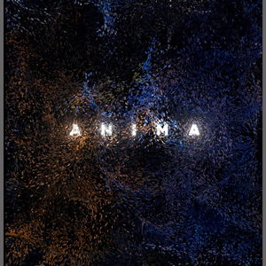 Anima