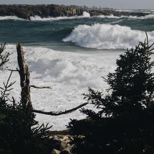 Woke Up by the Sea Shore