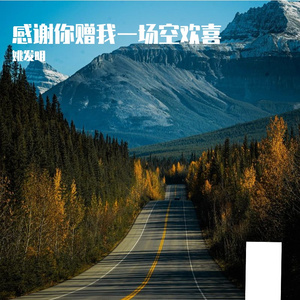 感谢你赠我一场空欢喜