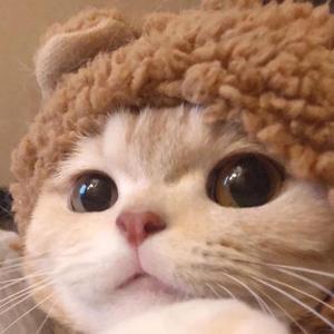 一别两宽 (PROD BY GOAT MUSIC)