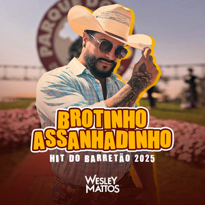 Brotinho Assanhadinho (Hit do Barretão 2025)