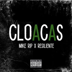 Cloacas