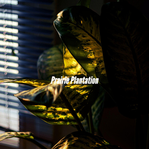 Fantastic Moods for Iced Summer Coffee