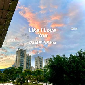 Like I Love You 国会鼓旋律