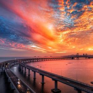 我将玫瑰藏于身后