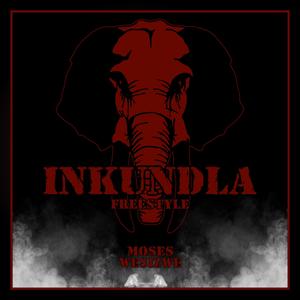 Inkundla (Freestyle)