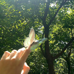少一点天分