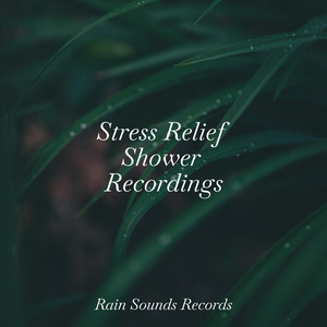 Wild Whirlwind Waltz