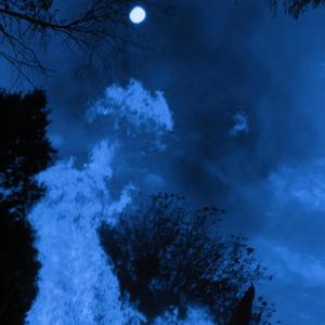 今晚月色没有你美丽