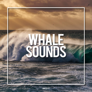 Relaxing Rain (Original Mix)