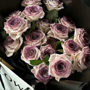追寻光芒