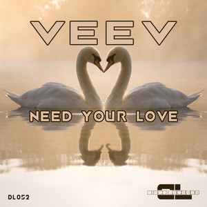 Need Your Love (Original Mix)