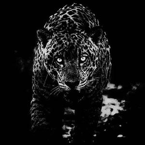 Constriction (火力全开)