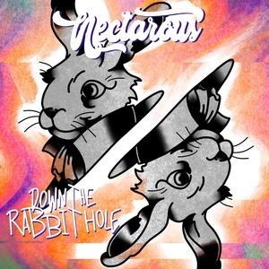 Down the Rabbit Hole
