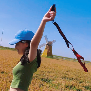 董小姐（口琴）