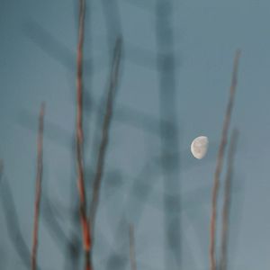 so toxic (4batz Type Beat)