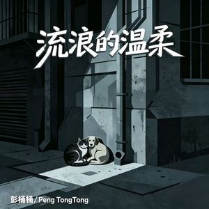 流浪的温柔