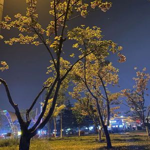 在遗忘（Prod Siren）