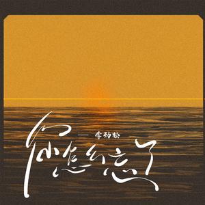 你怎么忘了 (你开口的爱)