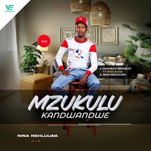 Abanikazi bengezo (feat. Nodlalisa)
