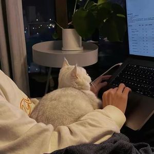 我和猫咪都想你