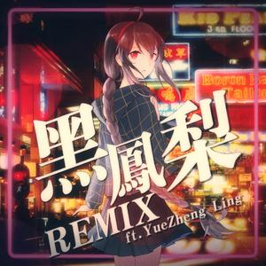 黑凤梨remix（cover Z新豪/洛天依）
