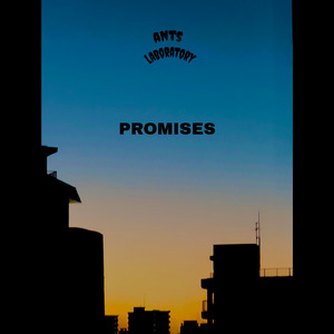 PROMISES