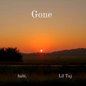 Gone (feat. Lil Taj)