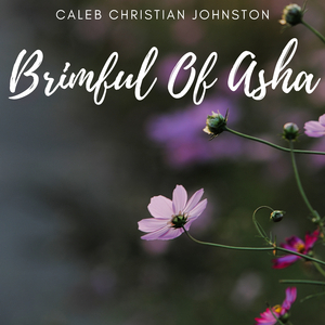 Brimful Of Asha